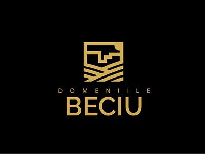 DOMENIILE BECIU logo branding design icon illustration logo typography vector