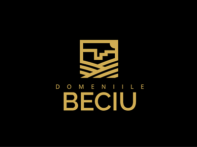 DOMENIILE BECIU logo