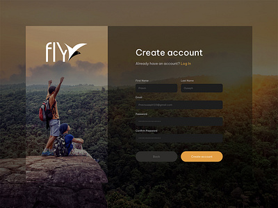 Fly branding graphic design logo ui