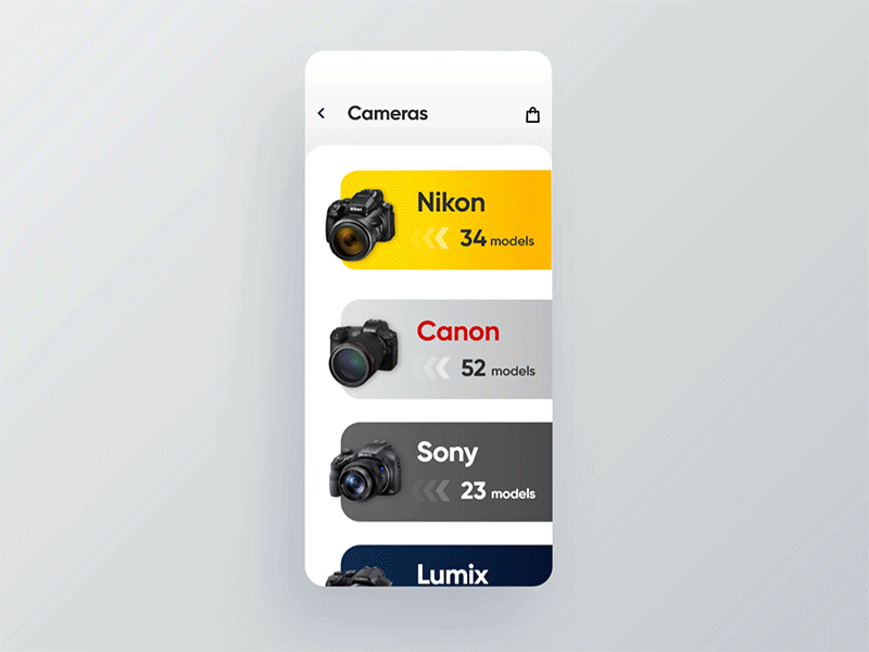 Ecommerce mobile app concept