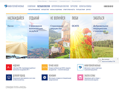 Insurance Company Website Concept ui ux web website