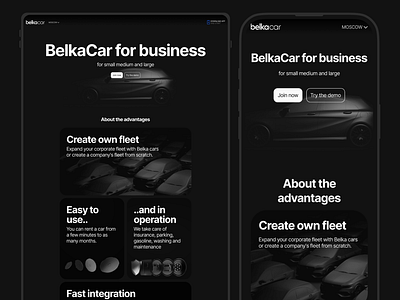 Belka Car for business