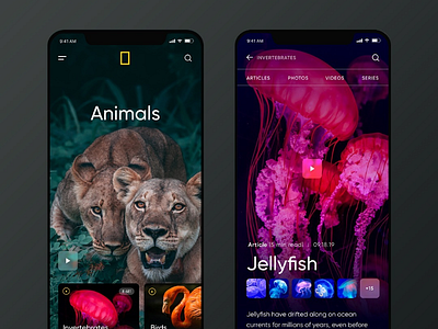 Ui Application About Animals android android app animal app design application inspiration interface ios ios app iosdev ui uidesign ux uxdeisgn webdesign