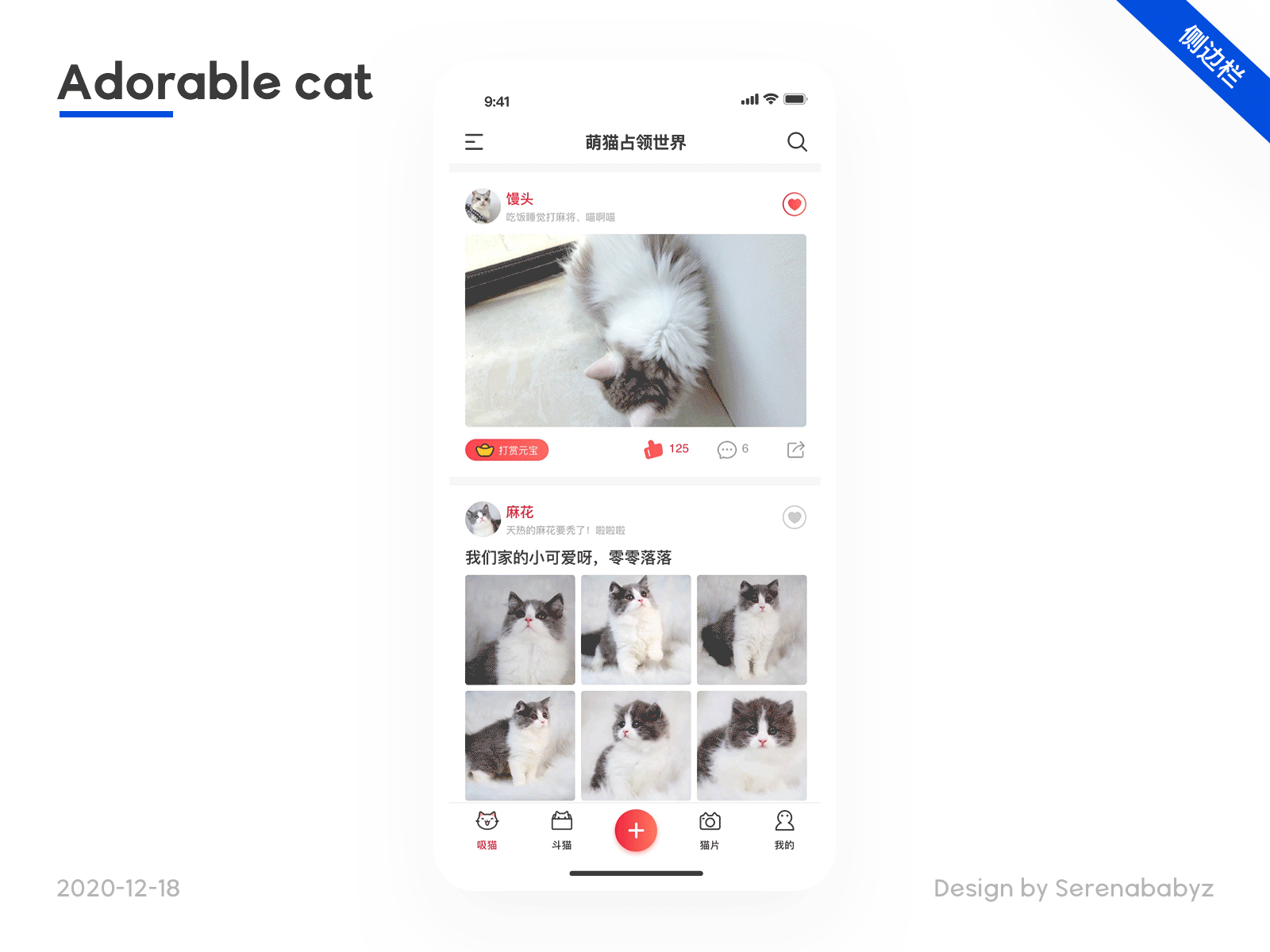 Adorable cat animation app design ui ux