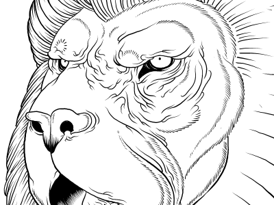 Lion drawing illustration inking process wip