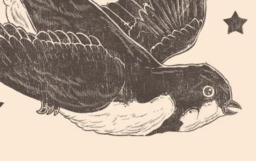 Bird Detail design drawing illustration