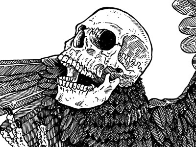 Skullbird design drawing illustration ink