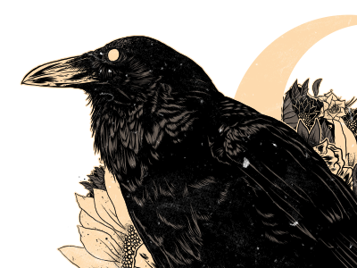 Crow - Final design drawing illustration