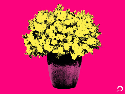 #popart flowerpot design illustration popart