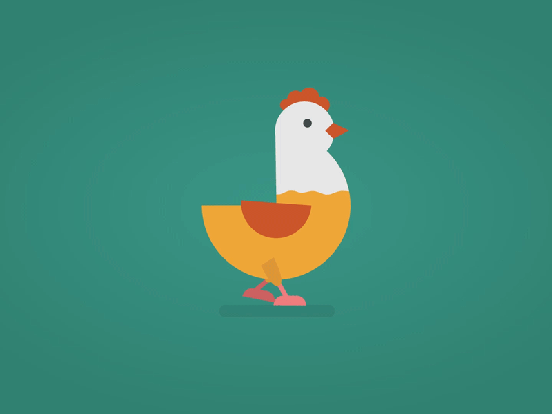 Chicken animation graphic illustration motion