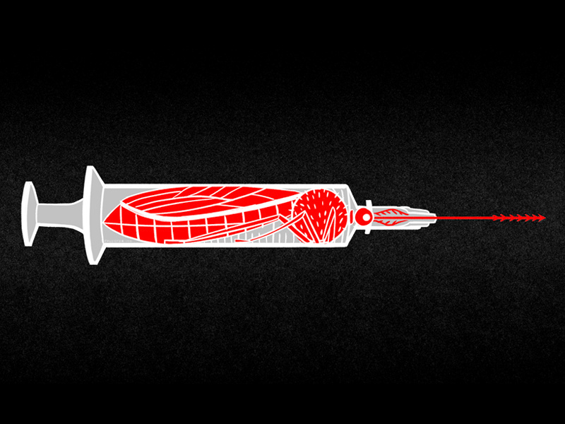 Natural Elevation freelancer director art design drawing joshlees illustration