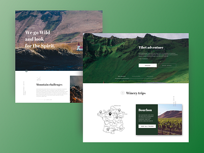 Travel Website clean concept luxury mountains tour tourism travel ui ux web website