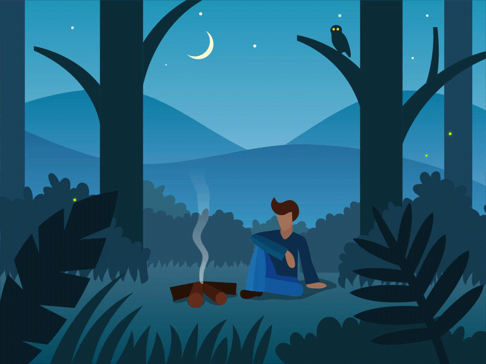 Night forest animation animation bush campfire chill design flat flower forest guy illustration night vector