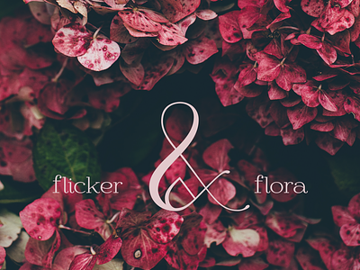 Flicker & Flora - Conceptual candle and flower company ampersand brand branding candle design flame floral logo logotype