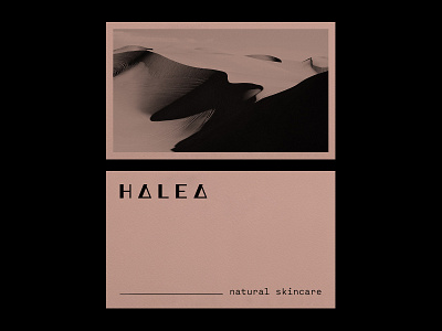 Halea (2) by José on Dribbble