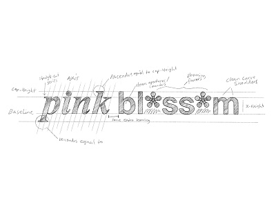 Pink Blossom I brandidentity branding identity lettering logo process sketch skincare typography