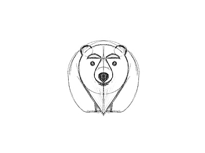 bear - sketch animal bear branding design emblem icon identity illustration logo mark process sketch