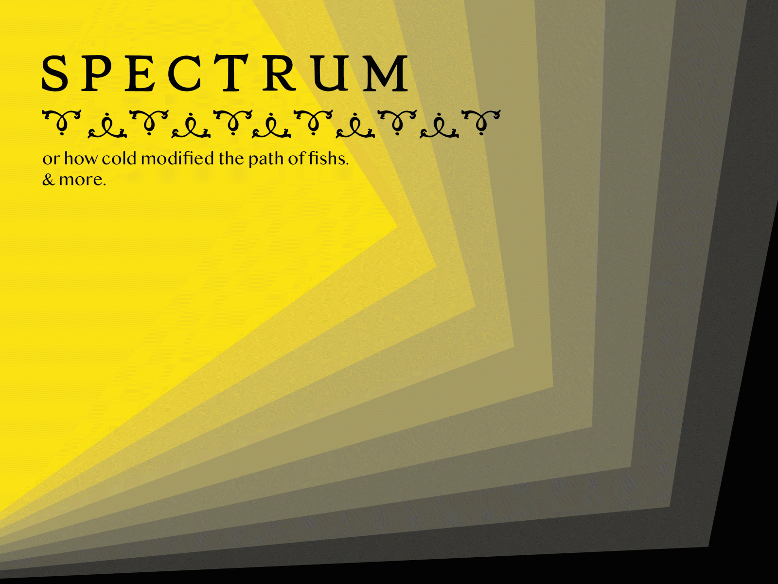 Spectrum - cover clean design illustrator lettering minimal typography vector