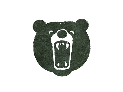 Bear animal bear growl