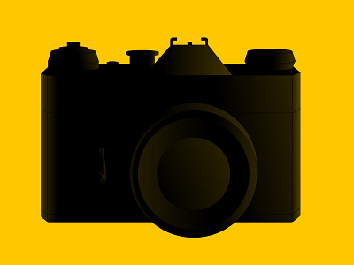 Camera camera highlight silhouette