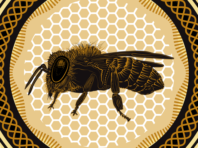 Honey Bee by David Cran on Dribbble