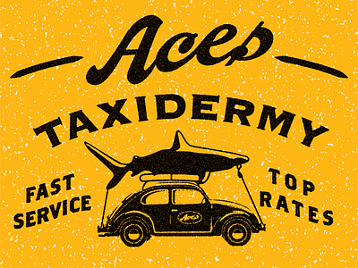 Aces Taxidermy aces automotive beetle car shark taxidermy volkswagen vw