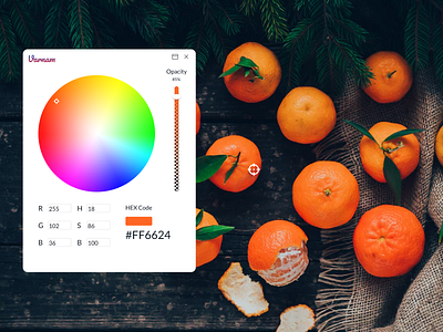 DailyUI #060   Color Picker