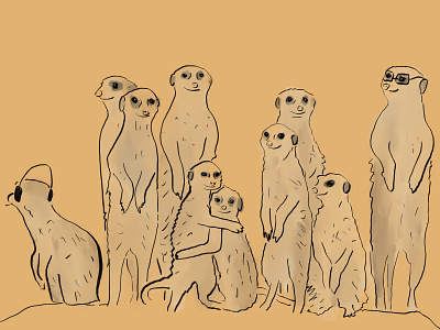 A group of ten meerkats