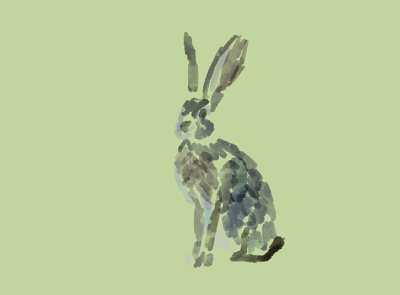 A hare animal illustration animals hare illustration rabbit