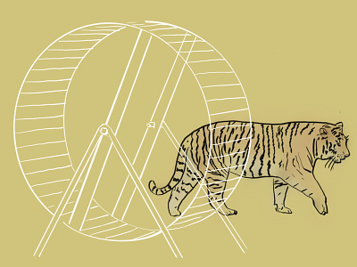 Effectiveness animal illustration animals illustration tiger