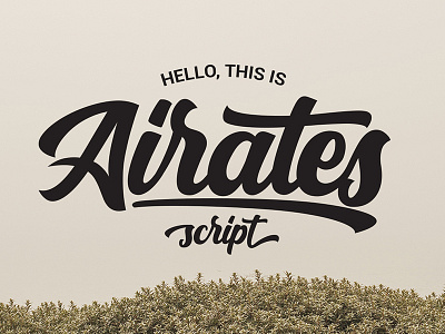 Airates Script Font airates font hand lettering lettering opentype script typeface typography