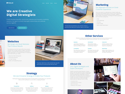 Pixellid Business Website