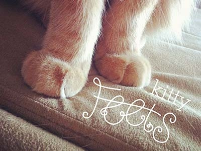 Kitty Feets cat design feet hand lettering photography typography