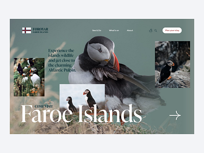 Faroe Islands animation graphic design ui ux webdesign