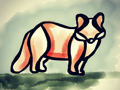 Doodle Fox illustration sketch