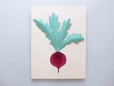 Beetroot beetroot food illustration illustration paper art paper craft paper cut veg vegetable