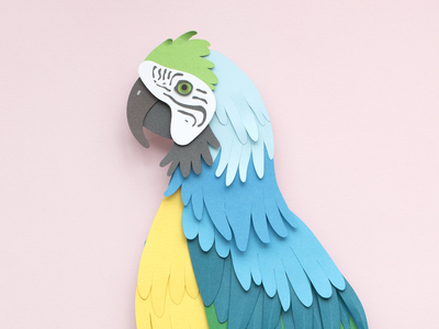 Parrot by Polly Lindsay on Dribbble