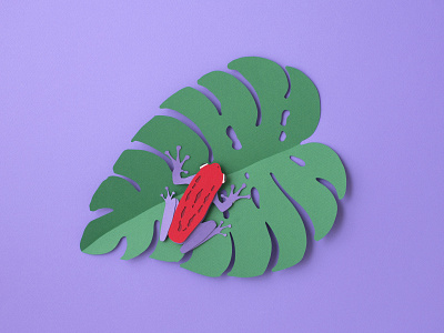 Tropical Frog frog illustration paper art paper craft paper cut rainforest tropical