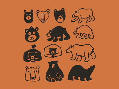 Bear studies ✍️🐻 art bear bears doodle drawing illustration