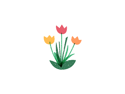 Tulips flowers illustration multiply texture transparent tulips
