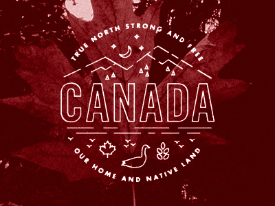 HBD Canada! canada illustration leaf maple moon mountains nature seal stuff