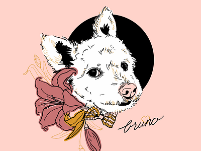 Bruno dog illustration pink portrait procreate