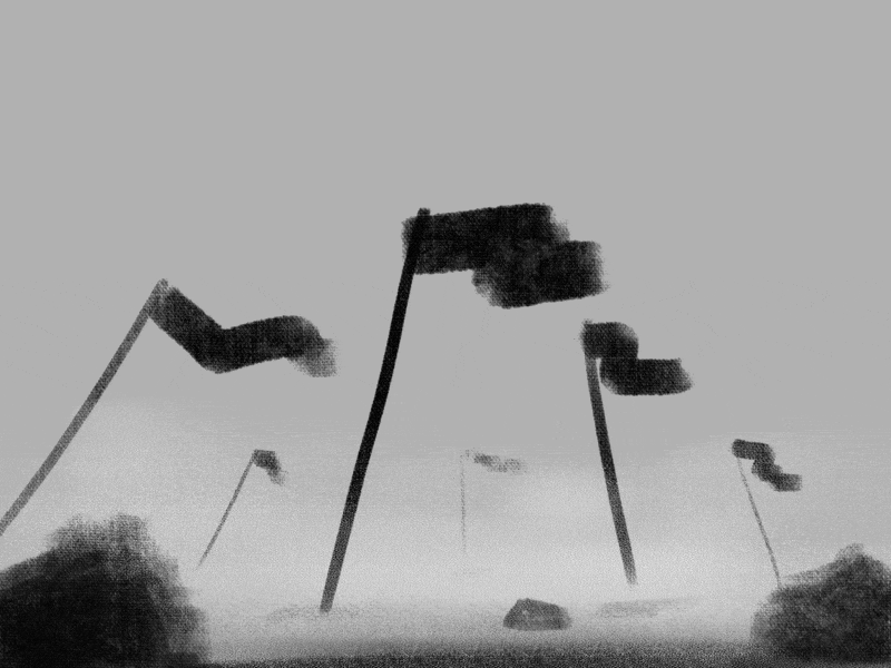 Day 13 - Flags