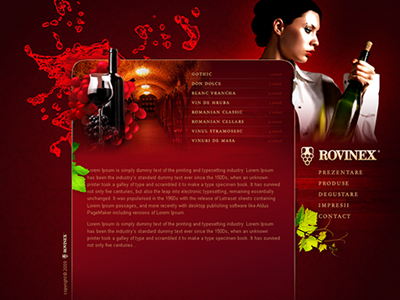 Rovinex design web design website