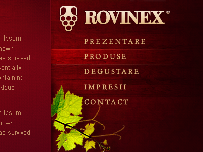 Website menu - wine company design menu web design website