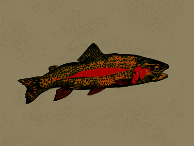 Trout adventure design digital fish fishing folk illustration nature texture