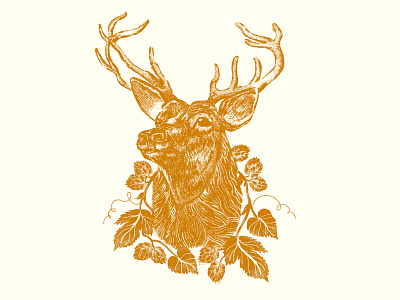 Hop Hunter label art beer cream deer design digital folk hops illustration lable nature orange texture
