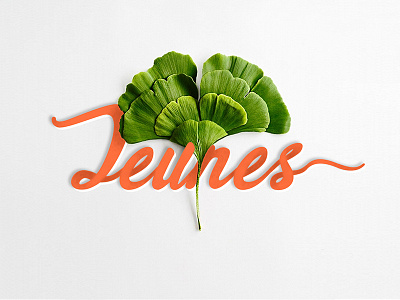 Jeunes fresh joy new script sign title