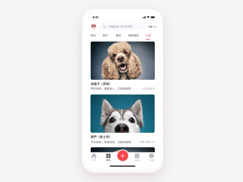 Dynamic design of pet house app dynamic pets