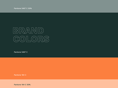 Hdz Concrete Brand Colors branding color palette